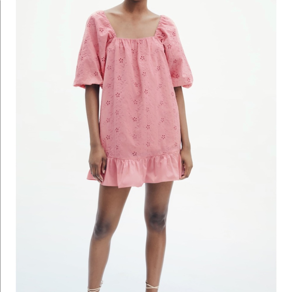 Zara Openwork Embroidered Mini Dress